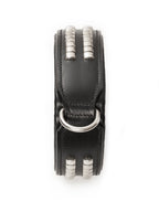 Leather Collar with Designer Studs