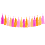 Tassel Garland for Graduation / Wedding /Bachelorette / Birthday