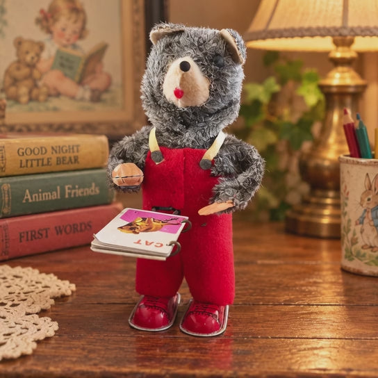 Alps Cubby the Reading Bear